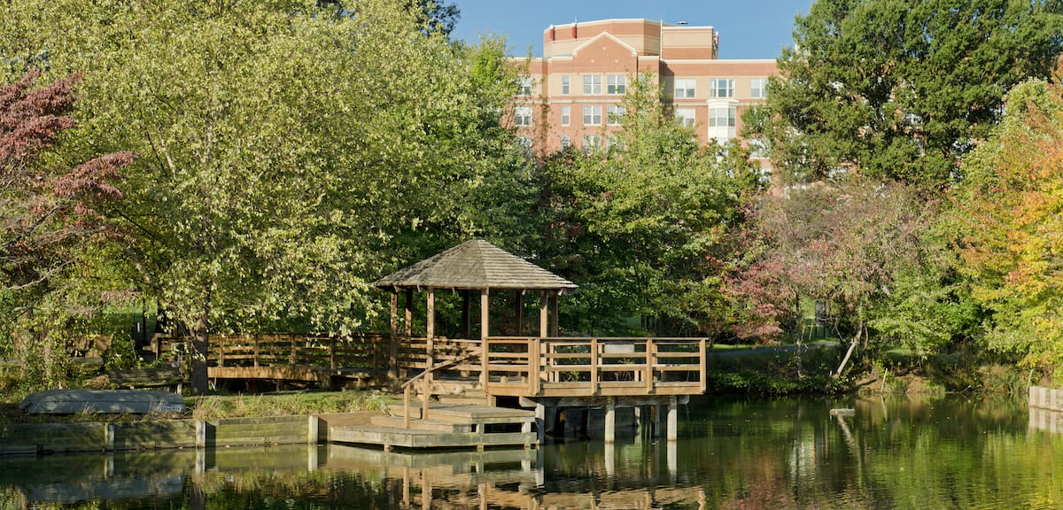 AMV Campus gazebo