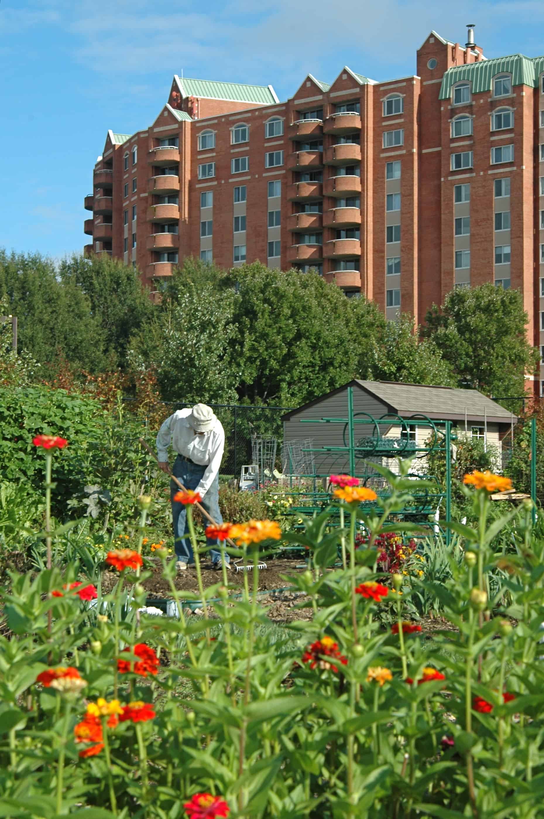 resident in flower garden