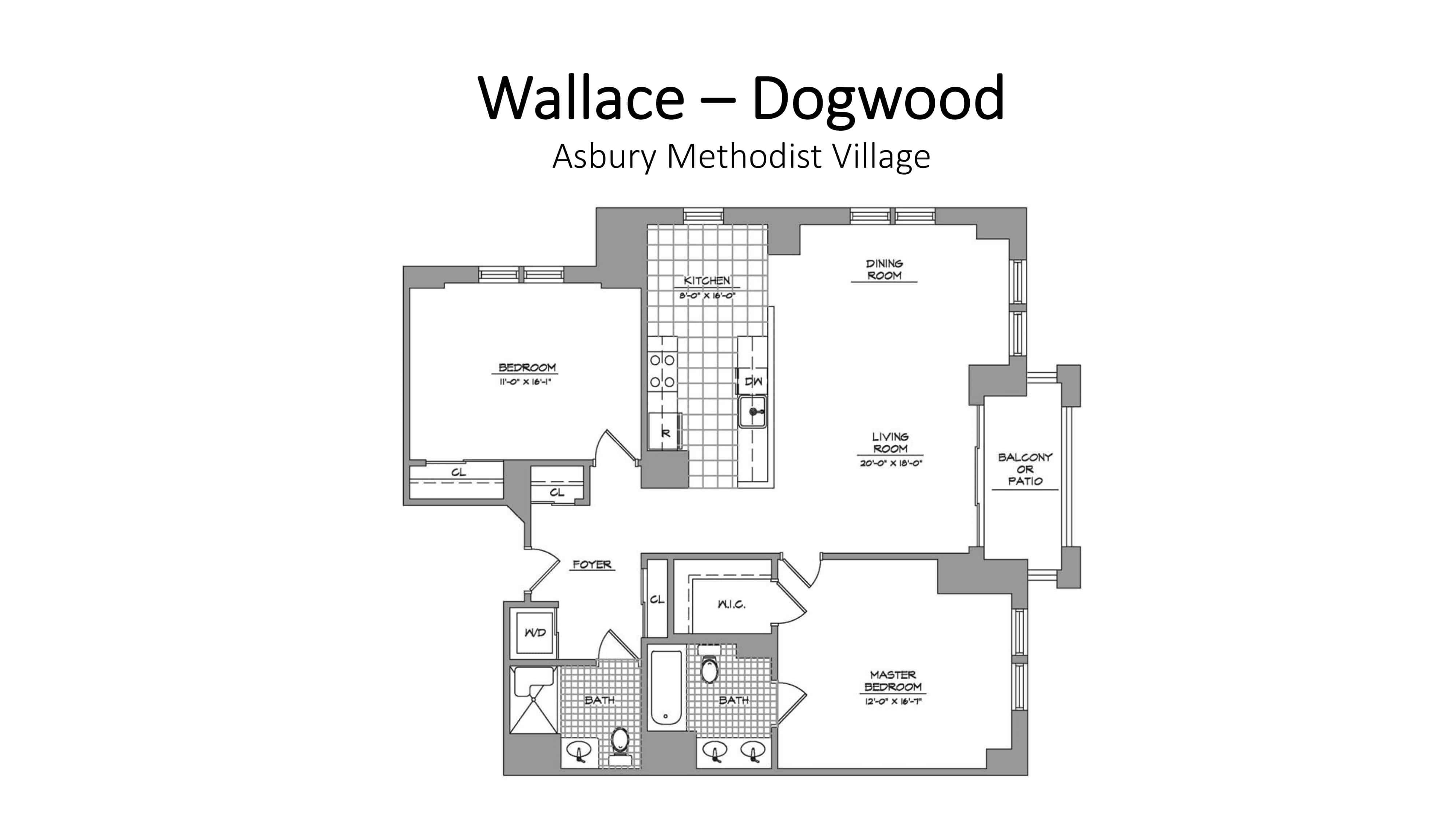 AMV Wallace Dogwood
