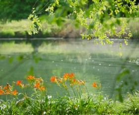 asbury arboretum