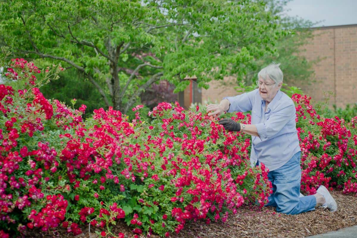resident enjoying gardening