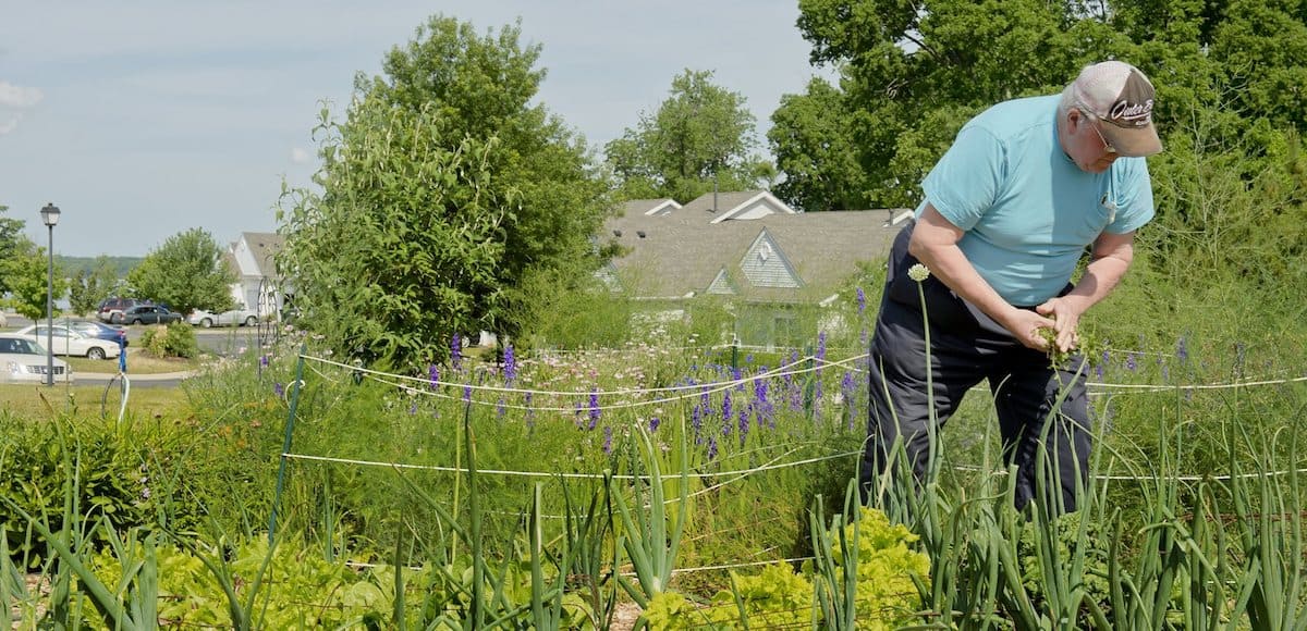 solomons resident gardening