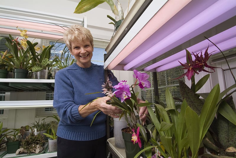 residient enjoying gardening at greenhouse