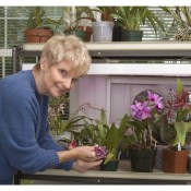 Springhill resident, Jean Metcalf, with her Orchid collection.