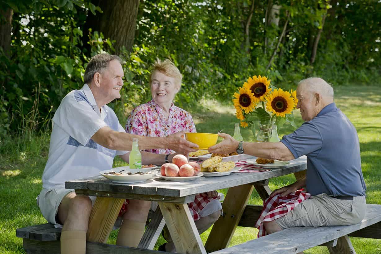 residents having a picnic together