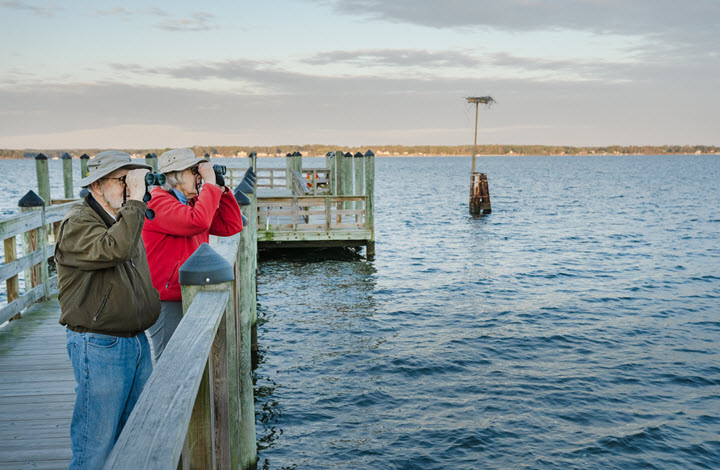 two seniors using binoculars looking out over the water on a pier