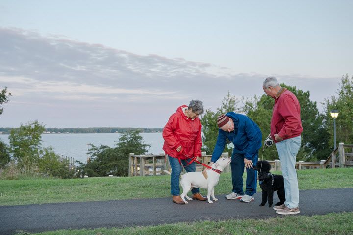 three seniors and two dogs out on a walking path, waterfront