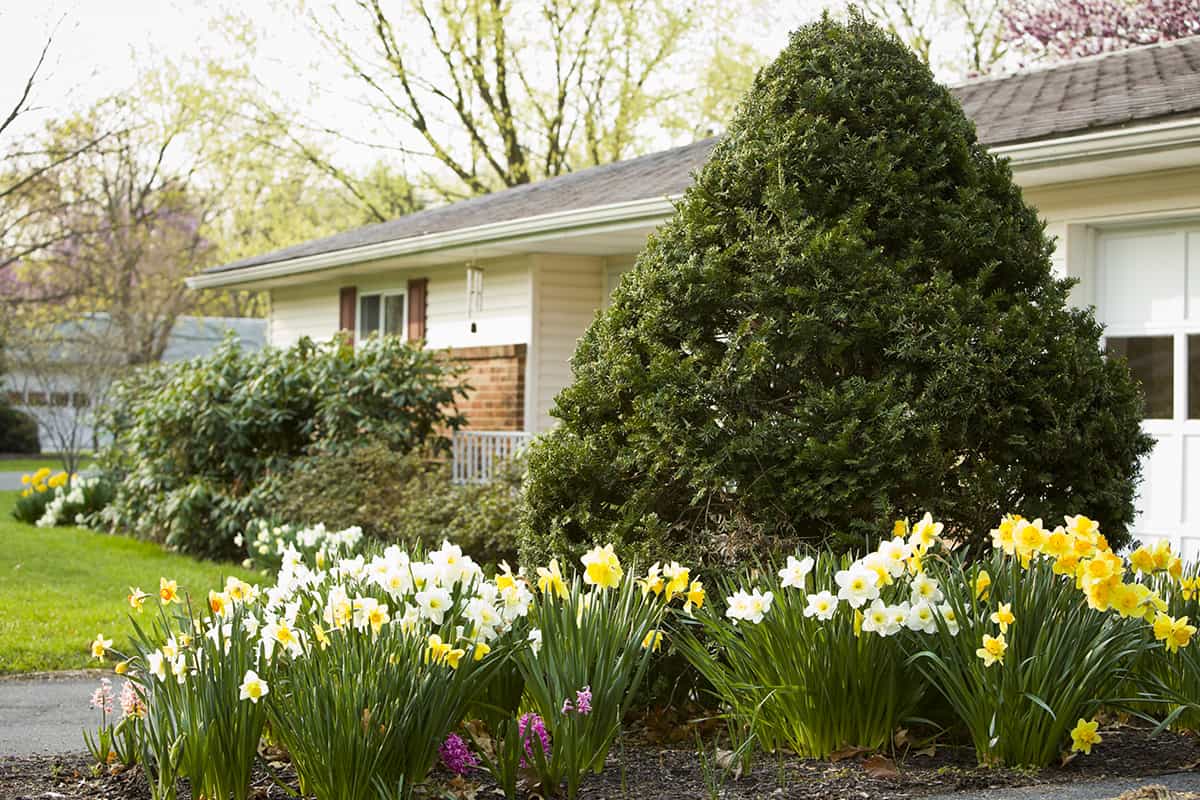 Bethany cottage home outside garden