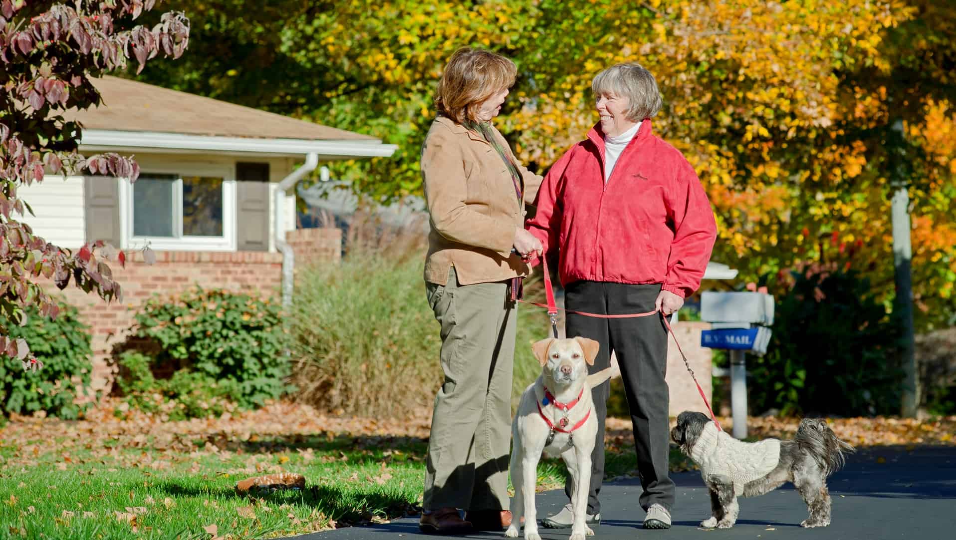 residents walking dogs in bethany village