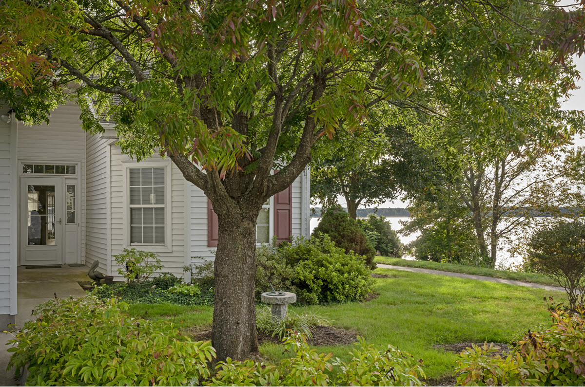 front yard trees at cottage home