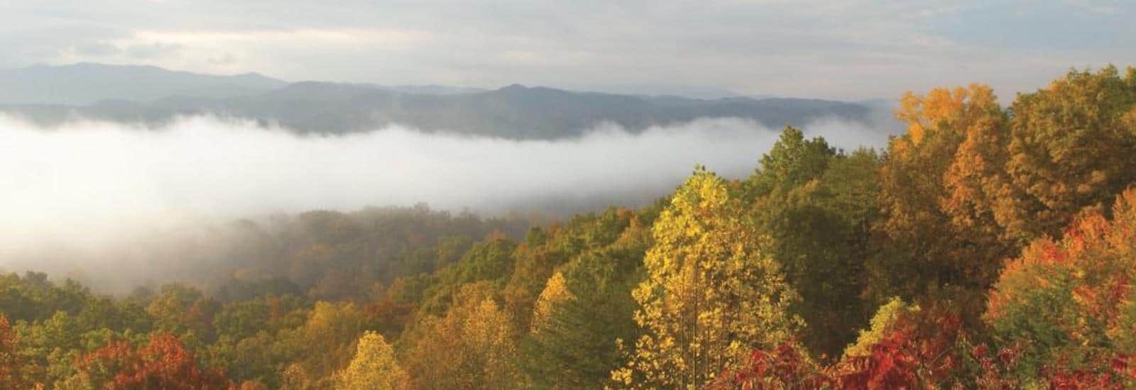 Mountain View from Asbury Place Kingsport