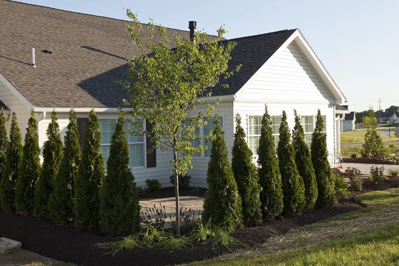 bethany village cottage exterior shrubs