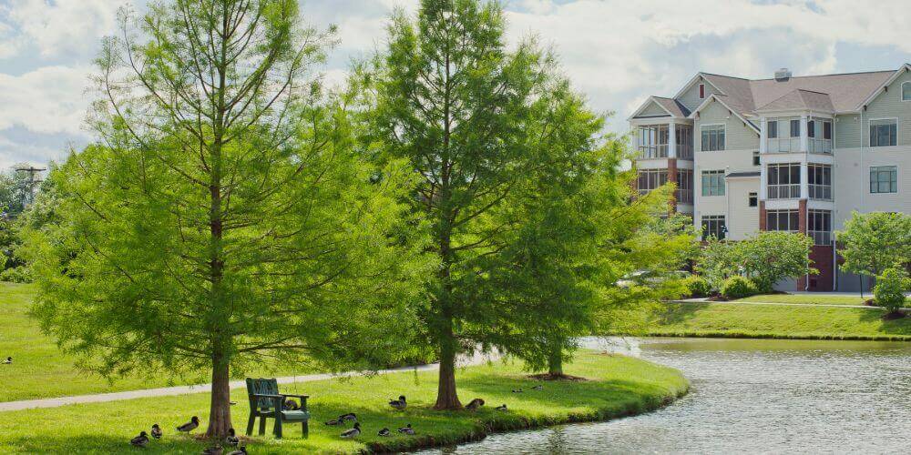 Peaceful lake view at Maryville