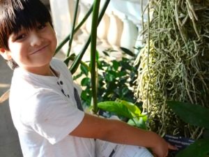 Kid poking finger in plant soil
