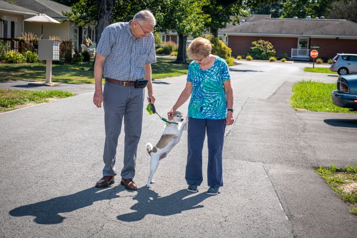 resident couple walking thier dog at the cottages