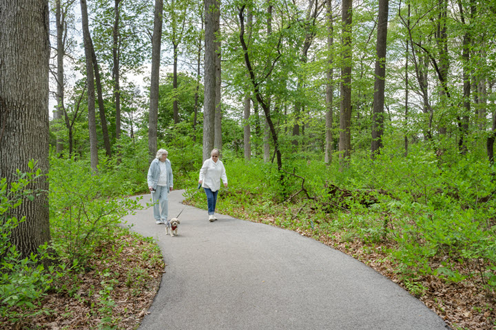 two senior women walk the wooded nature park trail with a dog