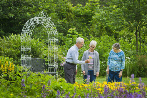 three seniors in a garden looking at flowers