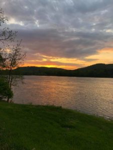 Cultivate Gratitude for a Happier Life