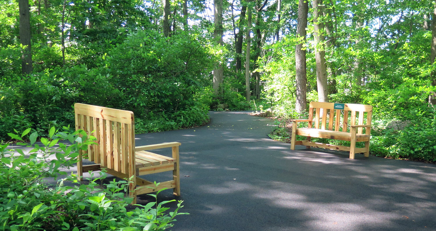 Donated benches at the happy trail nature park