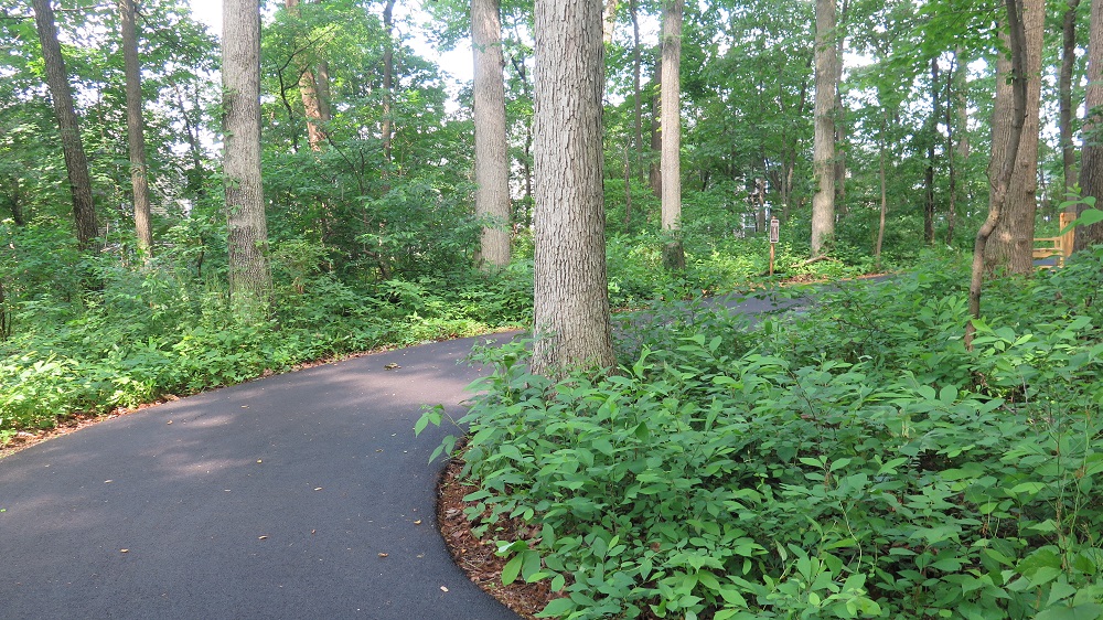 winding trail in happy trails nature park