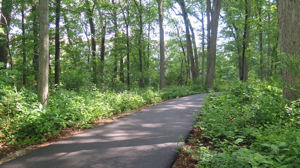 wooded trail in happy trails nature park