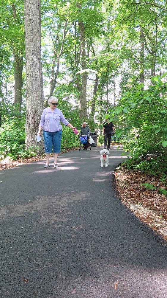 residents walking dogs on the trails of happy trail nature park