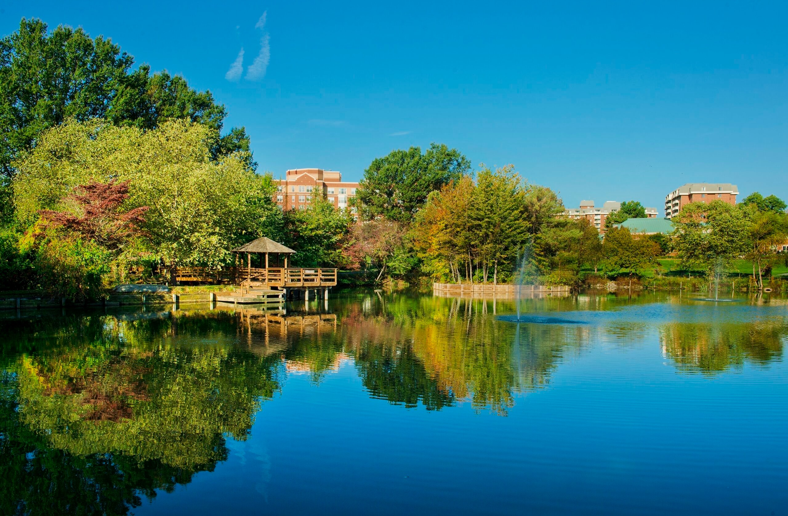 Asbury Methodist Village buildings behind row of trees overlooking a lake.