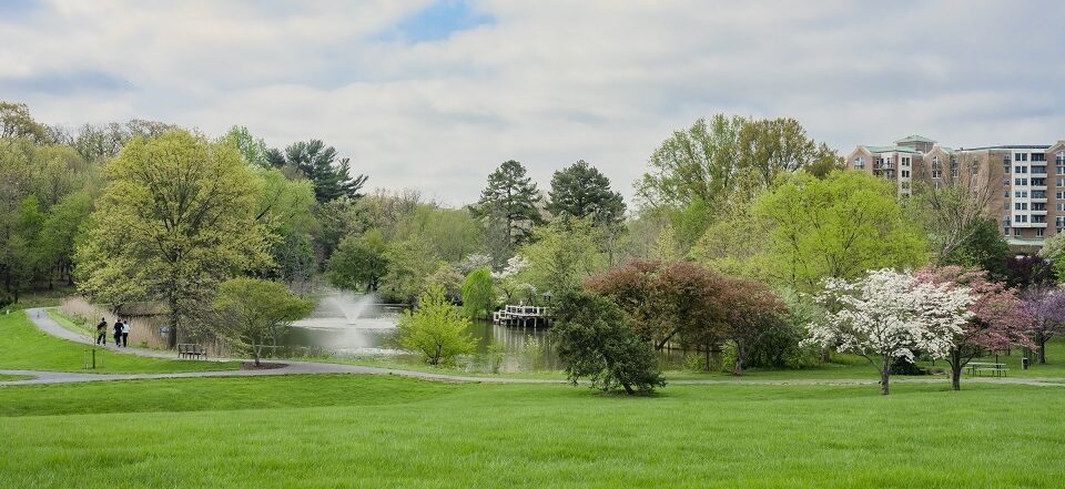 AMV pond and walking path