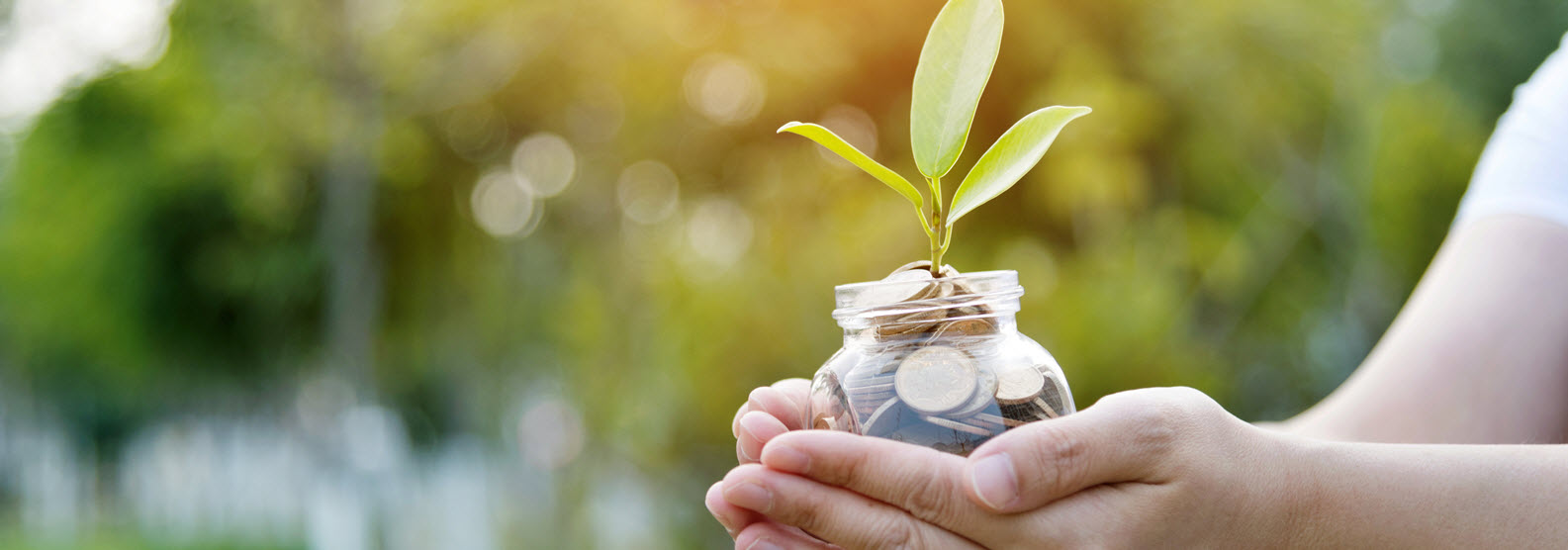 outstretched young hands holding a jar of coins with a small green plant growing out of the top