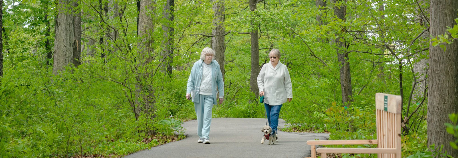 two senior ladies walk on a paved path in the woods with a dog
