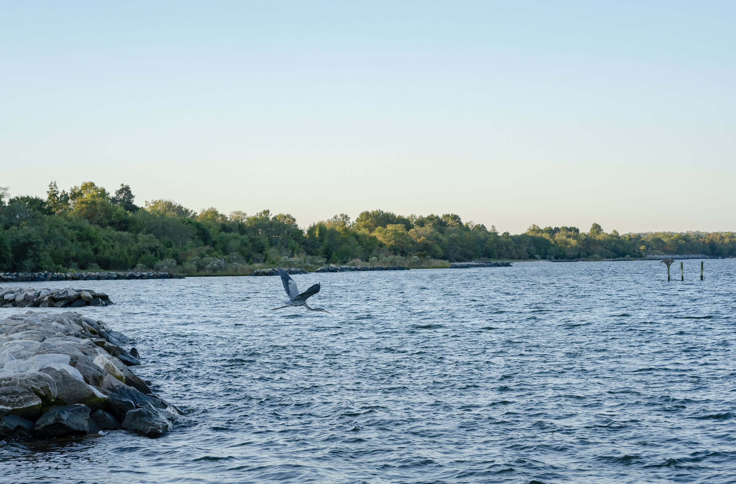 crane overtop a beautiful water view