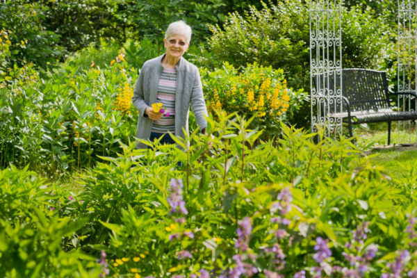 Springhill Butterfly Garden