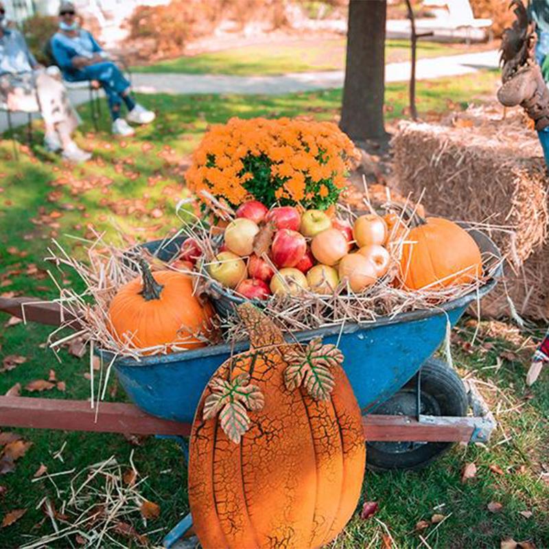 wheelbarrow full of gourds and apples for the fall